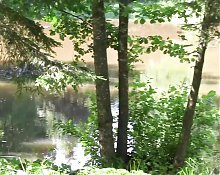 The Sex at the Lake