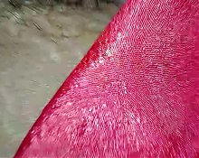 By applying castor oil on the penis, the pussy of the native wifes black vagina gets cooled.