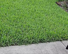 I met a stranger at the park on my lunch break and let him eat my pussy In vacant house