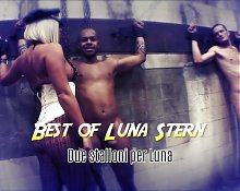 Best of Luna Stern